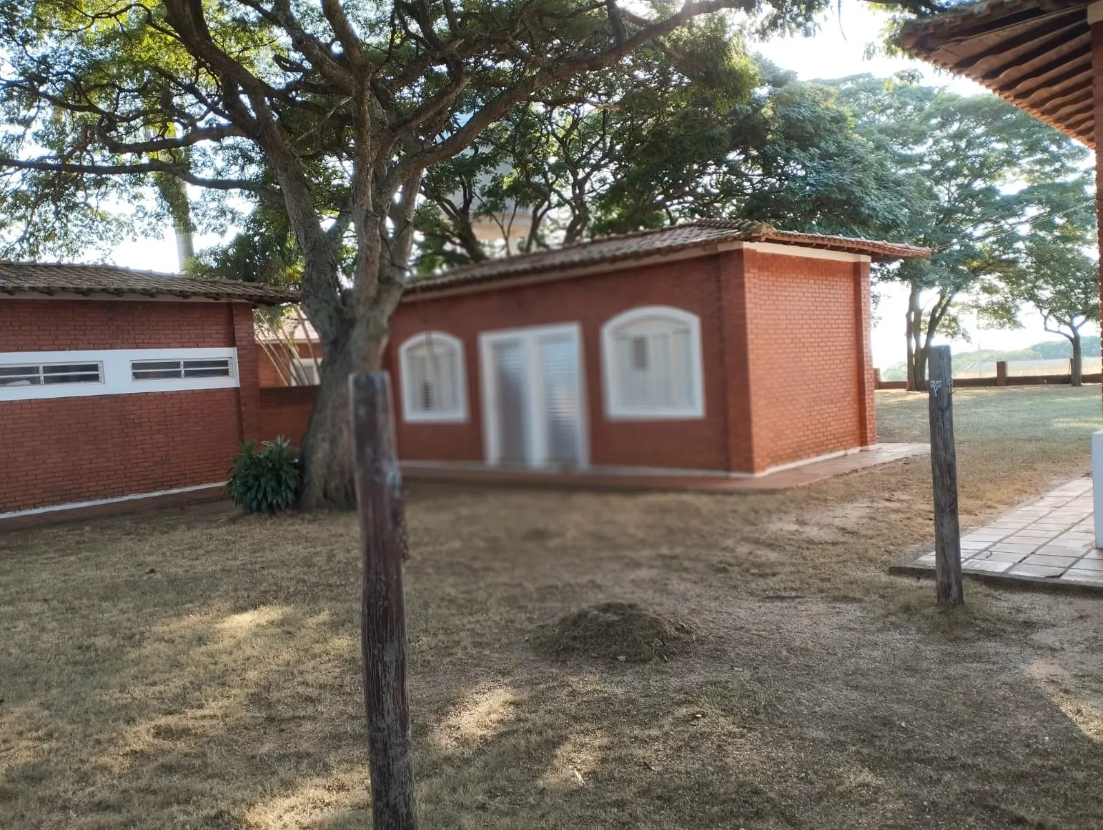 Fazenda à venda e para Arrendar de 283 ha em Getulina, SP, Brasil
