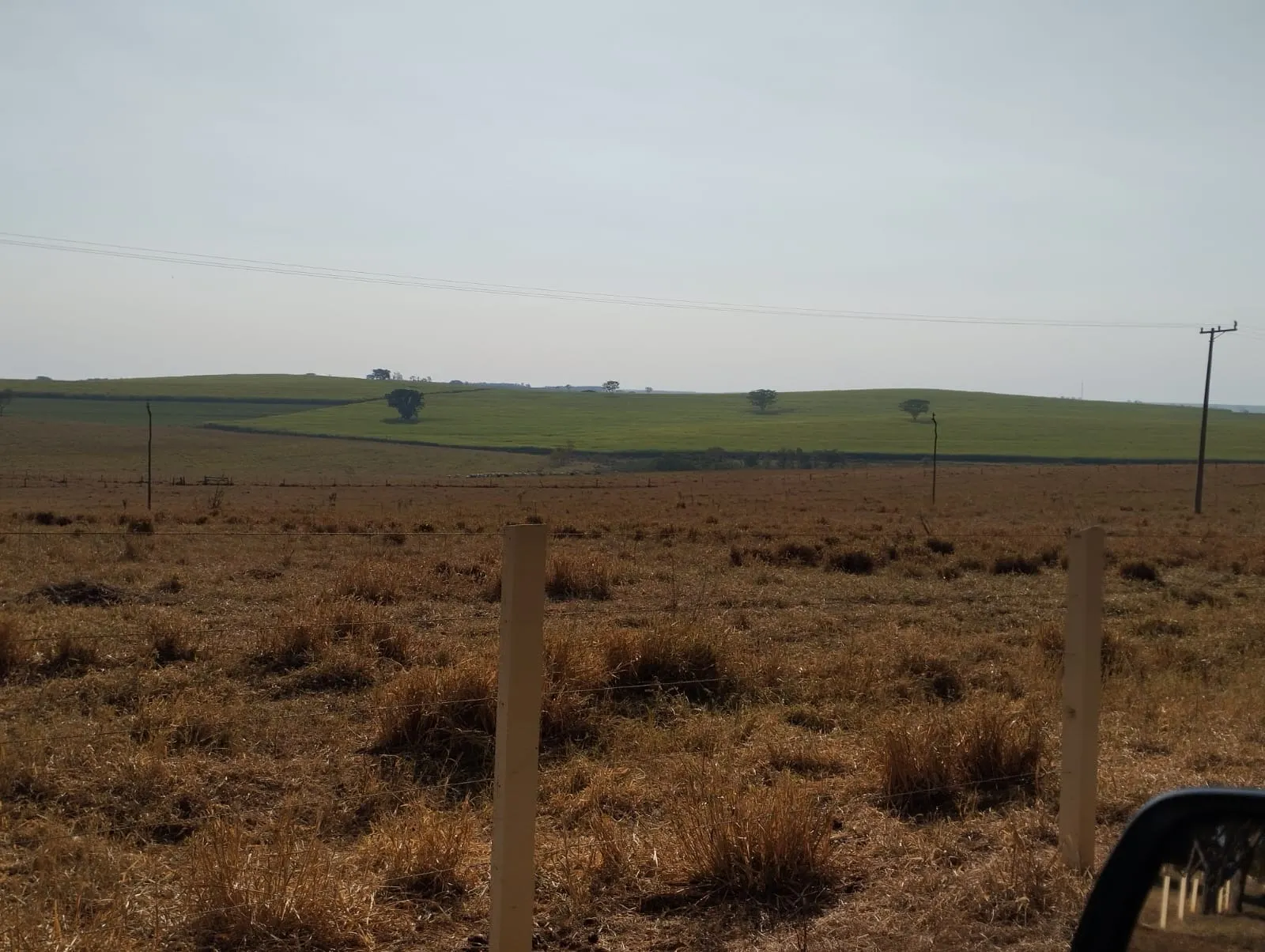 Fazenda à venda e para Arrendar de 283 ha em Getulina, SP, Brasil