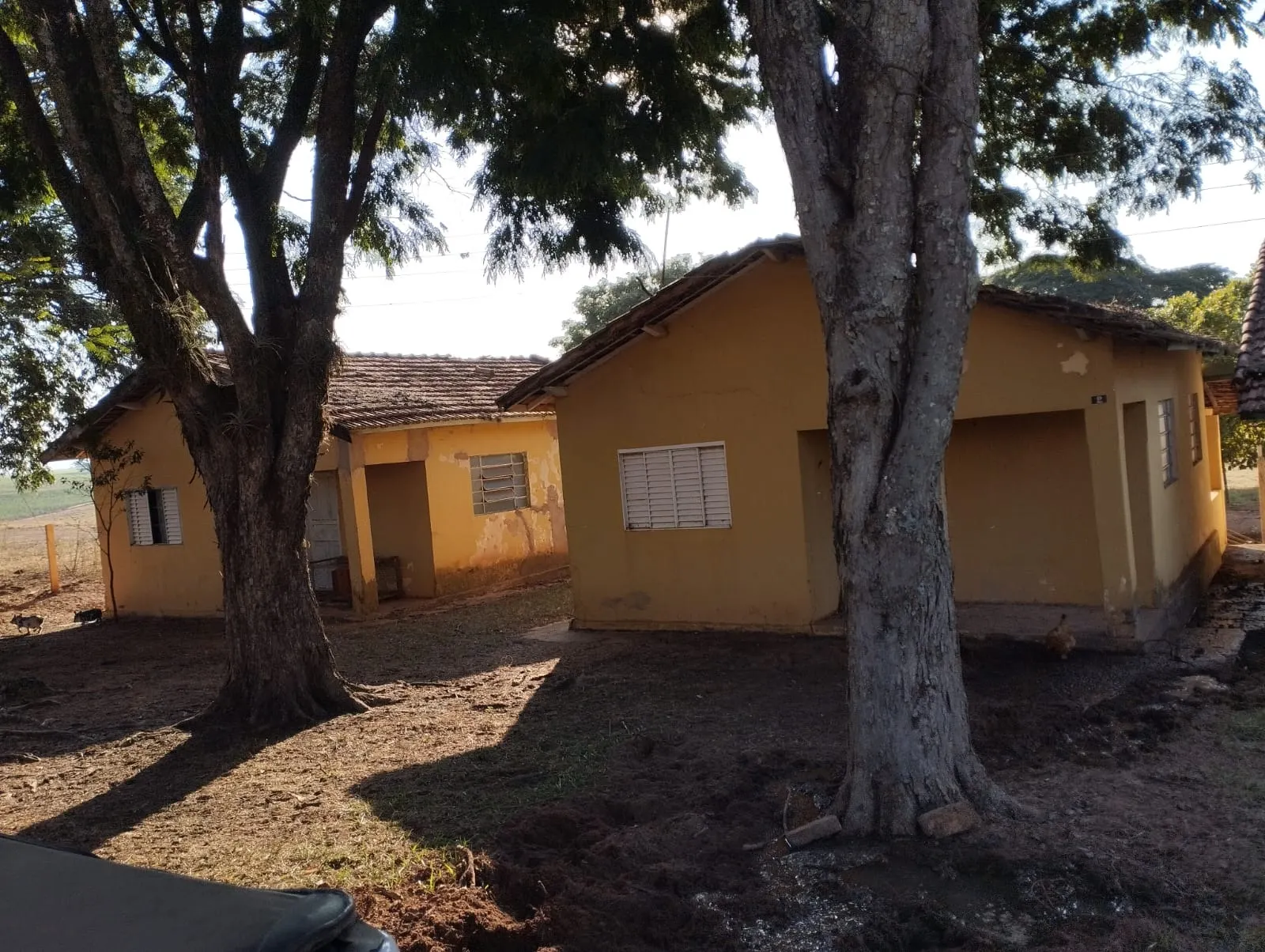 Fazenda à venda e para Arrendar de 283 ha em Getulina, SP, Brasil