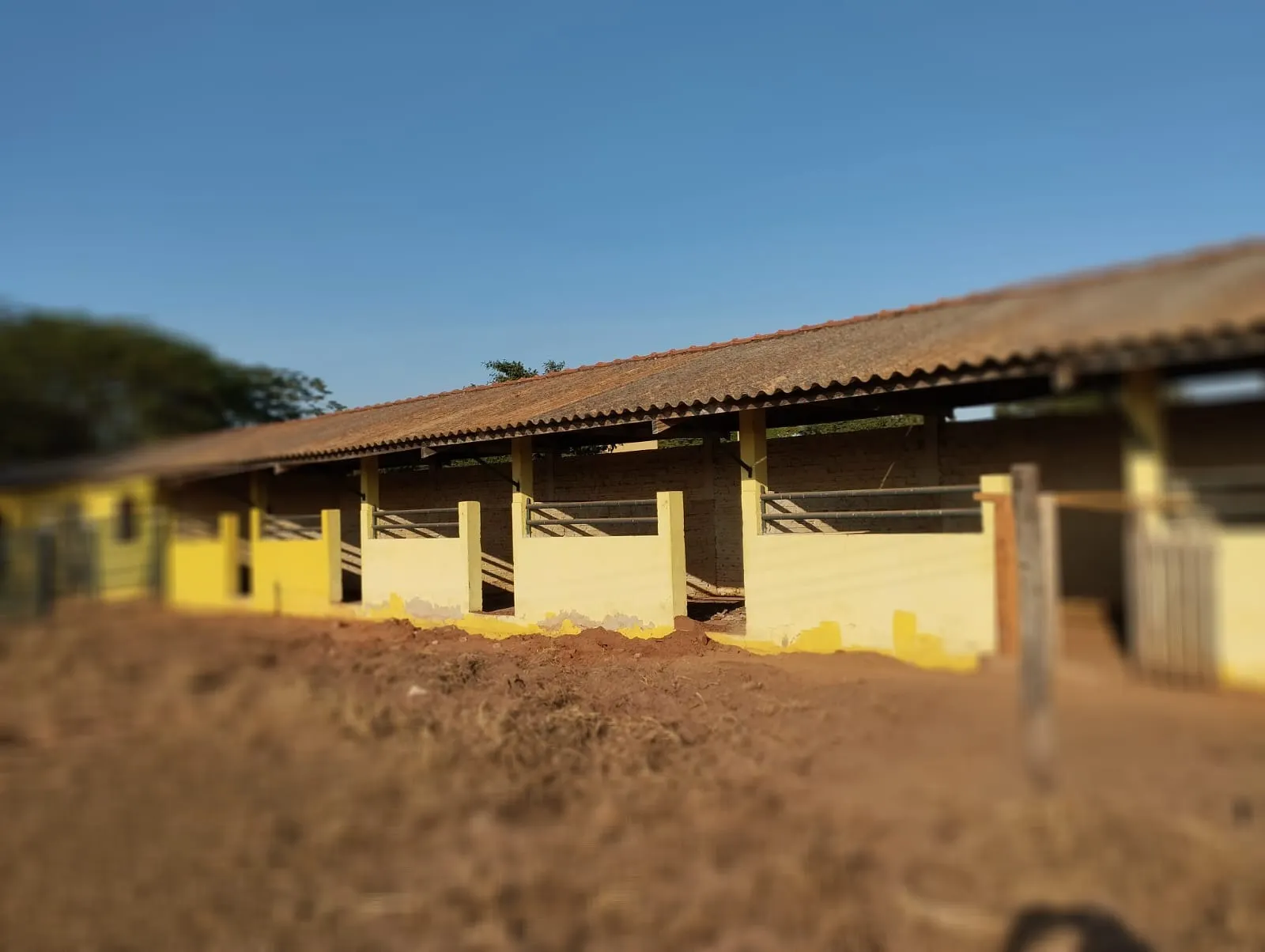Fazenda à venda e para Arrendar de 283 ha em Getulina, SP, Brasil