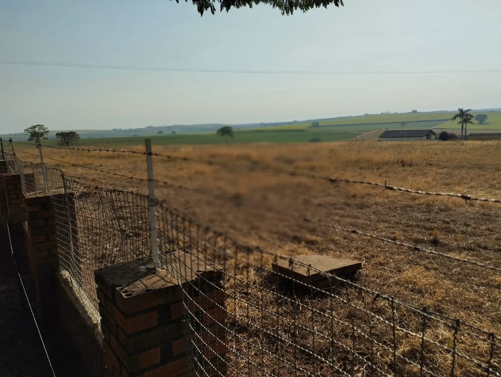 Fazenda à venda e para Arrendar de 283 ha em Getulina, SP, Brasil