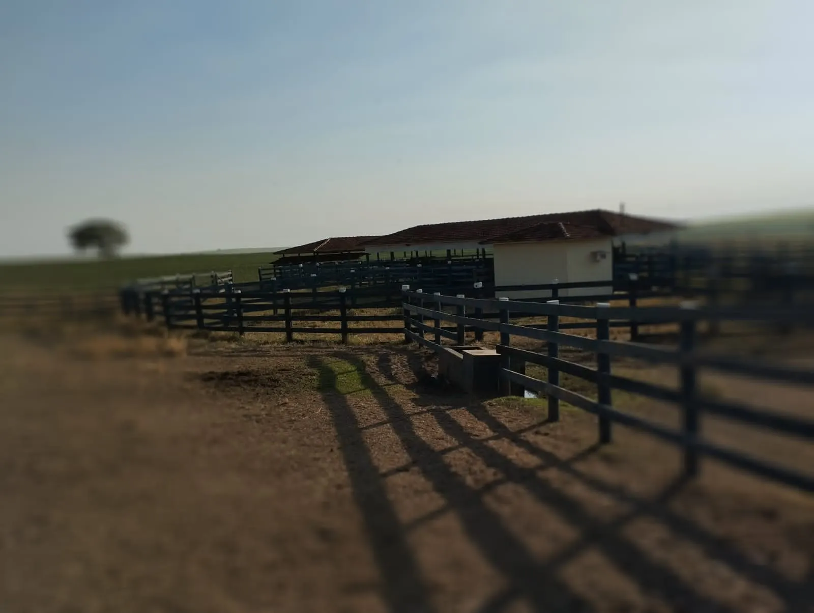 Fazenda à venda e para Arrendar de 283 ha em Getulina, SP, Brasil