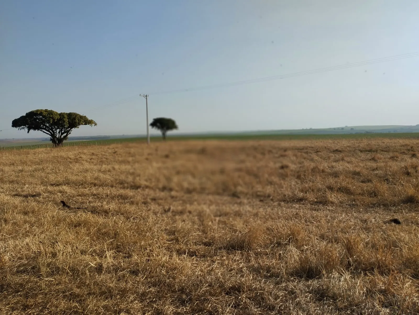 Fazenda à venda e para Arrendar de 283 ha em Getulina, SP, Brasil
