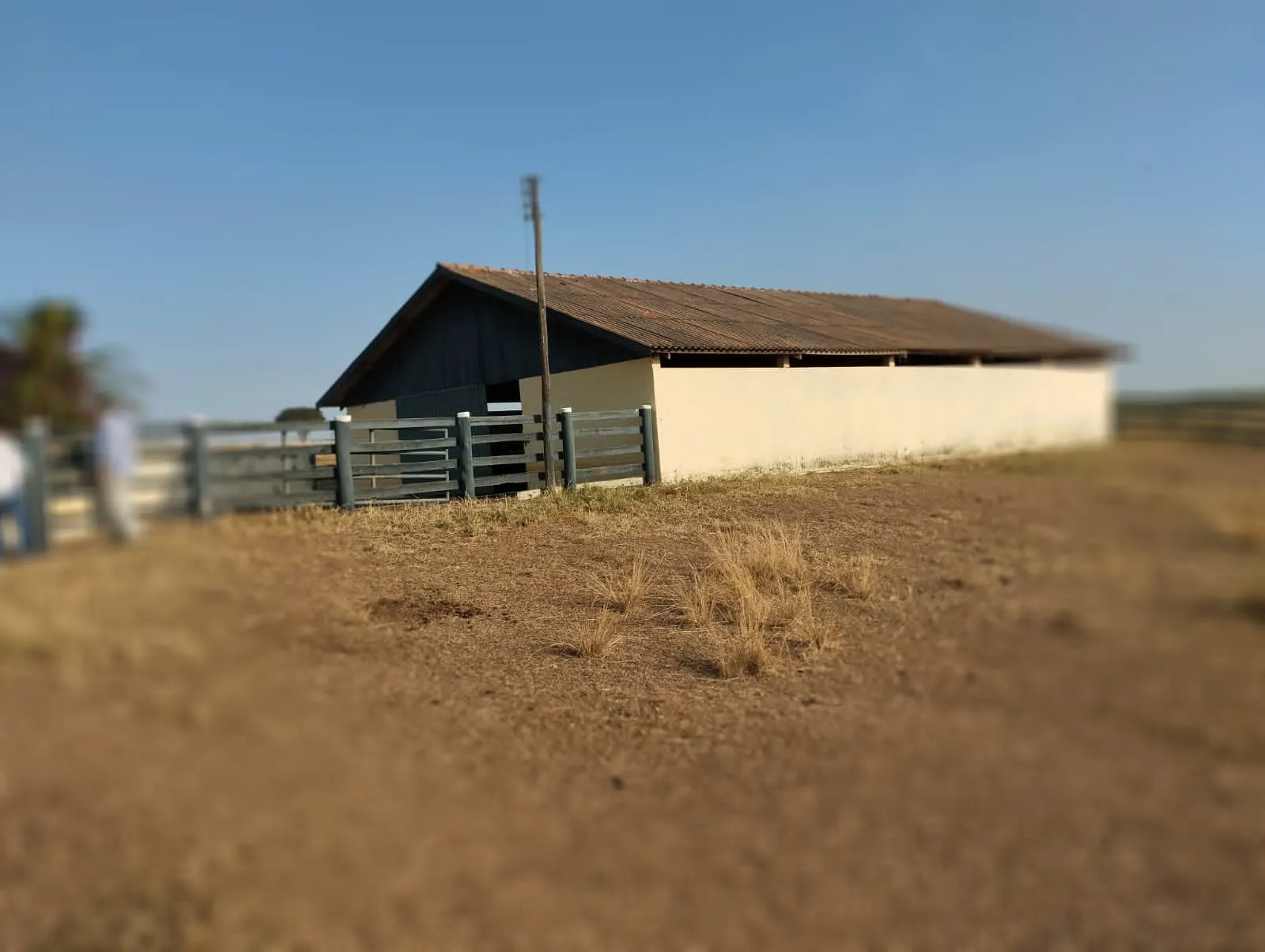 Fazenda à venda e para Arrendar de 283 ha em Getulina, SP, Brasil