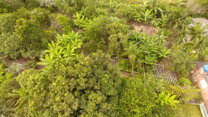 Chácara à venda de 2.900 m² em Maquiné, RS, Brasil