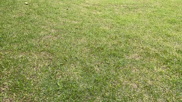 Chácara à venda de 2.900 m² em Maquiné, RS, Brasil