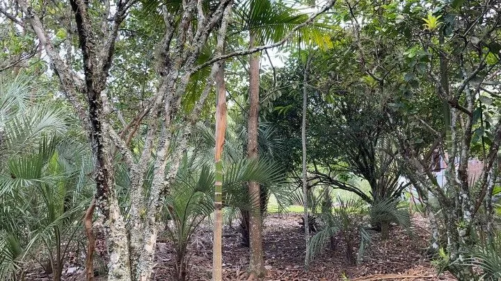 Chácara à venda de 2.900 m² em Maquiné, RS, Brasil