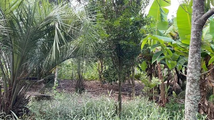 Chácara à venda de 2.900 m² em Maquiné, RS, Brasil