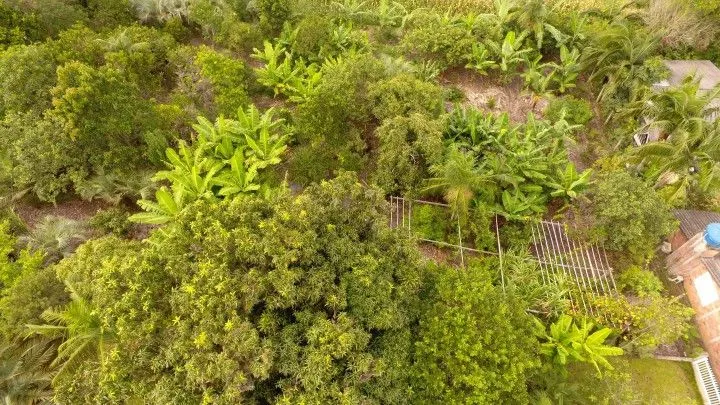 Chácara à venda de 2.900 m² em Maquiné, RS, Brasil