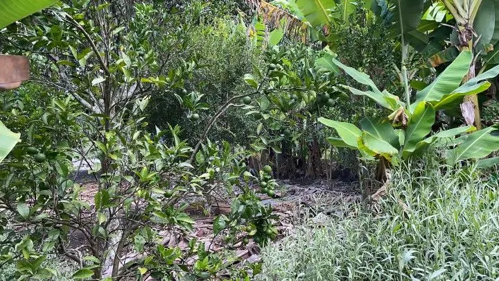 Chácara à venda de 2.900 m² em Maquiné, RS, Brasil