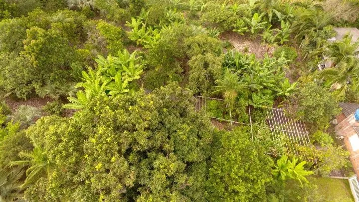 Chácara à venda de 2.900 m² em Maquiné, RS, Brasil
