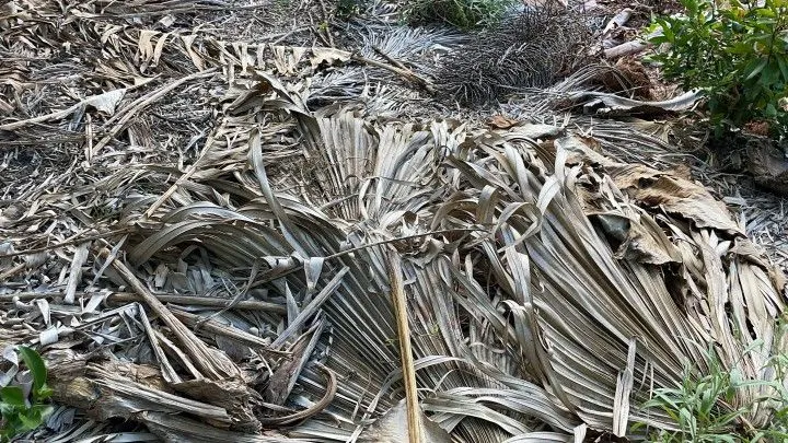 Chácara à venda de 2.900 m² em Maquiné, RS, Brasil