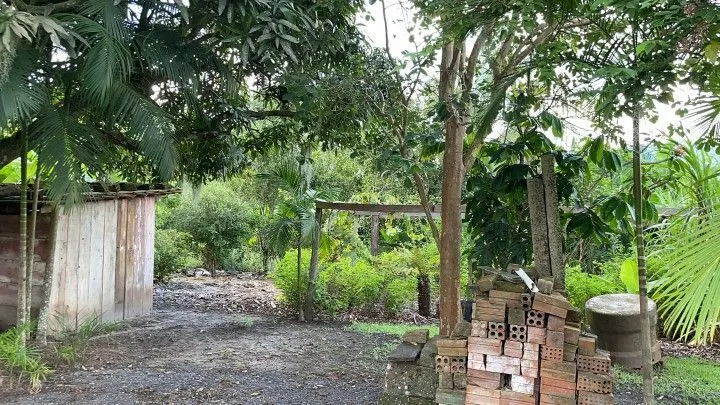 Chácara à venda de 2.900 m² em Maquiné, RS, Brasil
