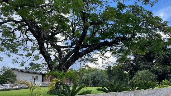 Chácara à venda de 2.900 m² em Maquiné, RS, Brasil