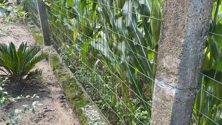 Chácara à venda de 2.900 m² em Maquiné, RS, Brasil