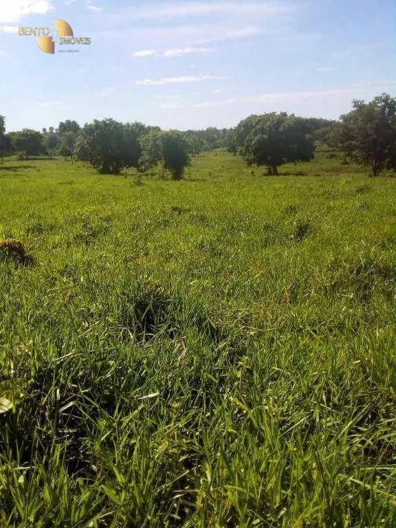 Fazenda à venda de 1.541 ha em Acorizal, MT, Brasil