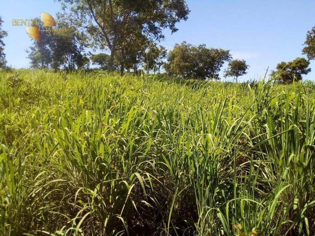 Fazenda à venda de 1.541 ha em Acorizal, MT, Brasil