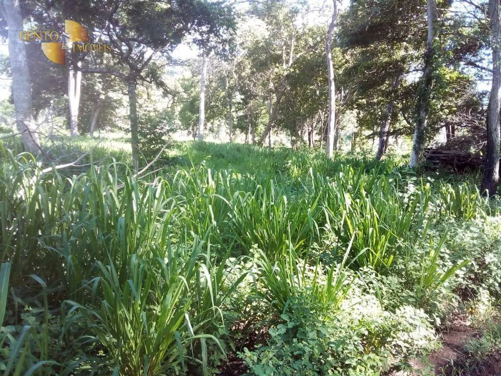 Fazenda à venda de 1.541 ha em Acorizal, MT, Brasil
