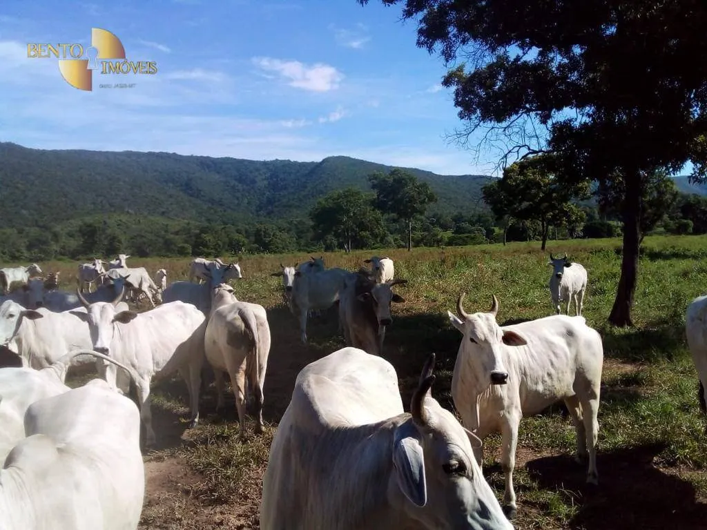 Fazenda à venda de 1.541 ha em Acorizal, MT, Brasil