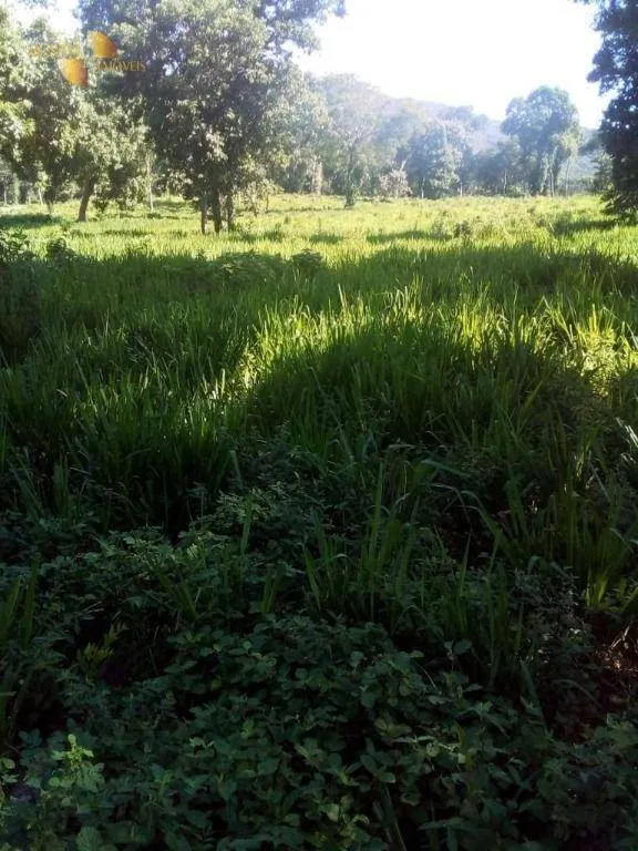 Fazenda à venda de 1.541 ha em Acorizal, MT, Brasil