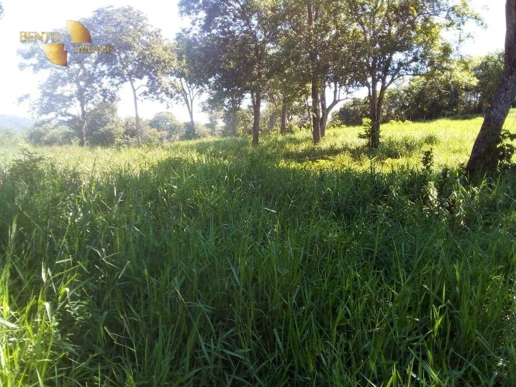 Fazenda à venda de 1.541 ha em Acorizal, MT, Brasil