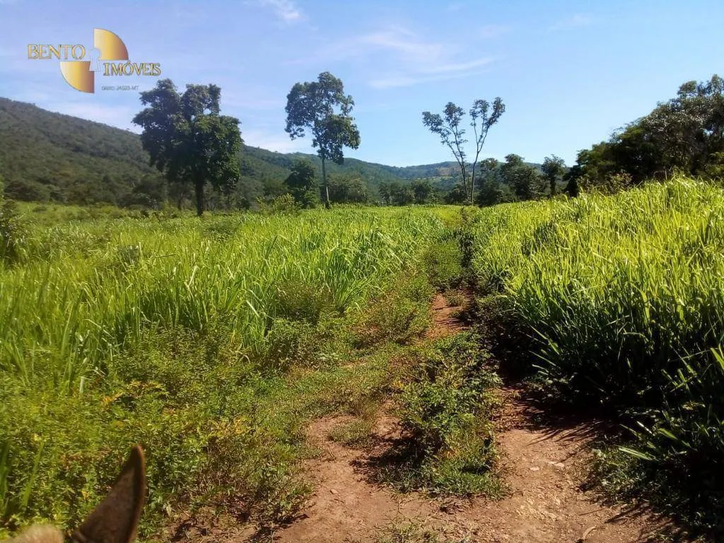 Fazenda à venda de 1.541 ha em Acorizal, MT, Brasil