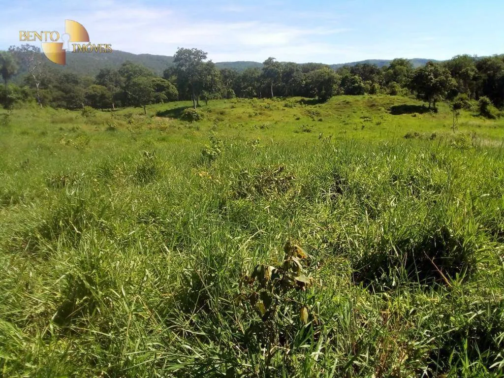 Fazenda à venda de 1.541 ha em Acorizal, MT, Brasil