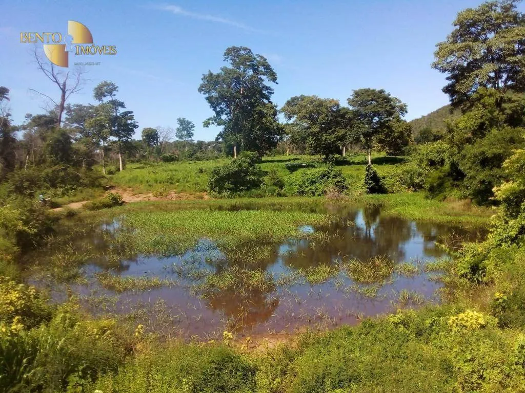 Fazenda à venda de 1.541 ha em Acorizal, MT, Brasil