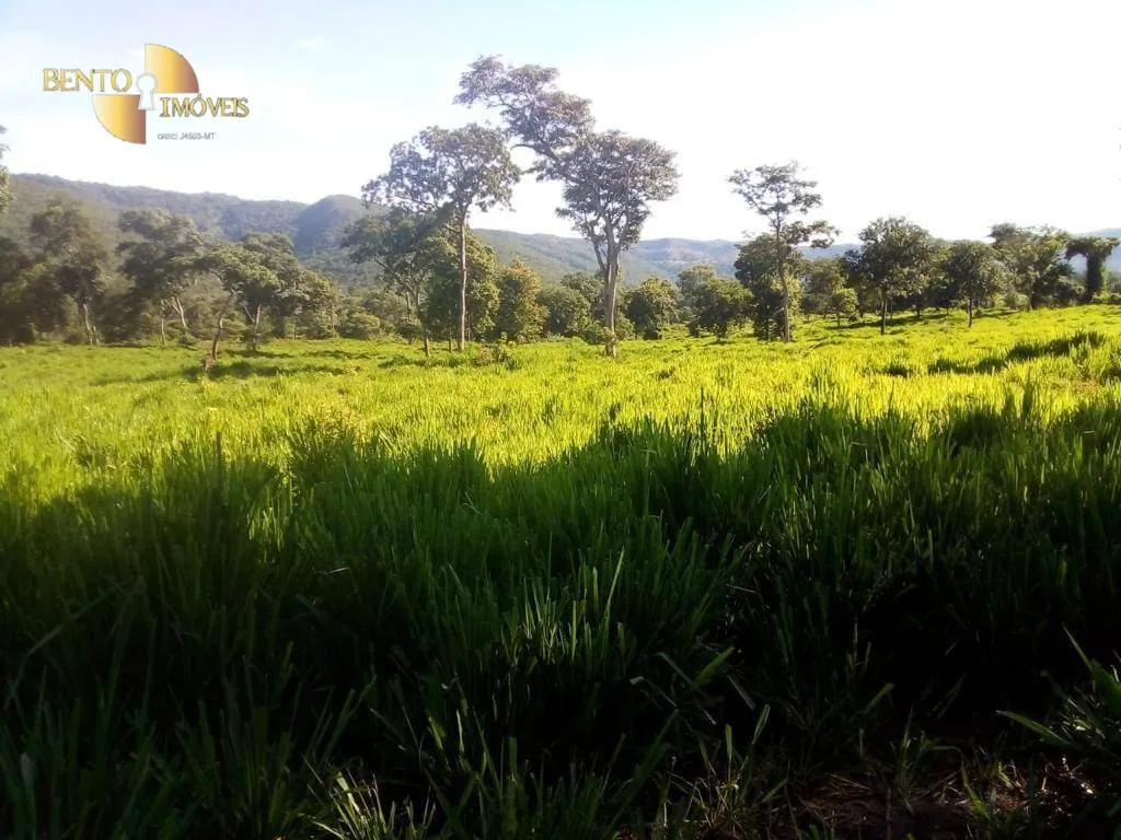 Fazenda à venda de 1.541 ha em Acorizal, MT, Brasil