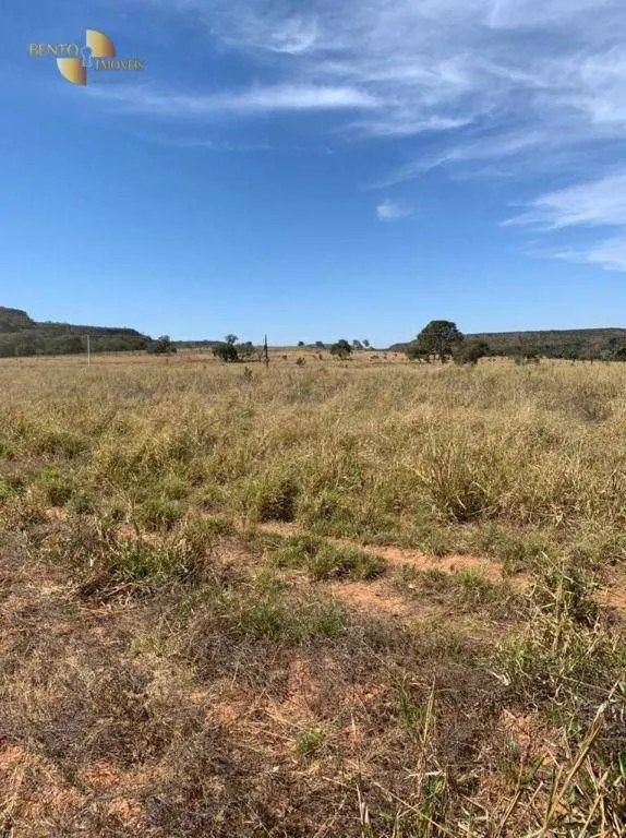 Fazenda à venda de 906 ha em Tesouro, MT, Brasil