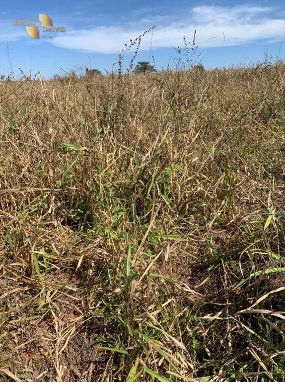 Fazenda à venda de 906 ha em Tesouro, MT, Brasil