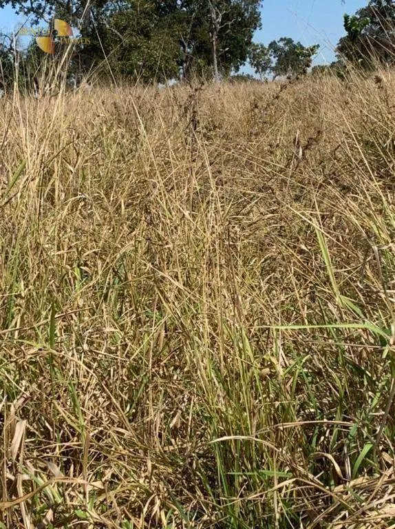 Fazenda à venda de 906 ha em Tesouro, MT, Brasil