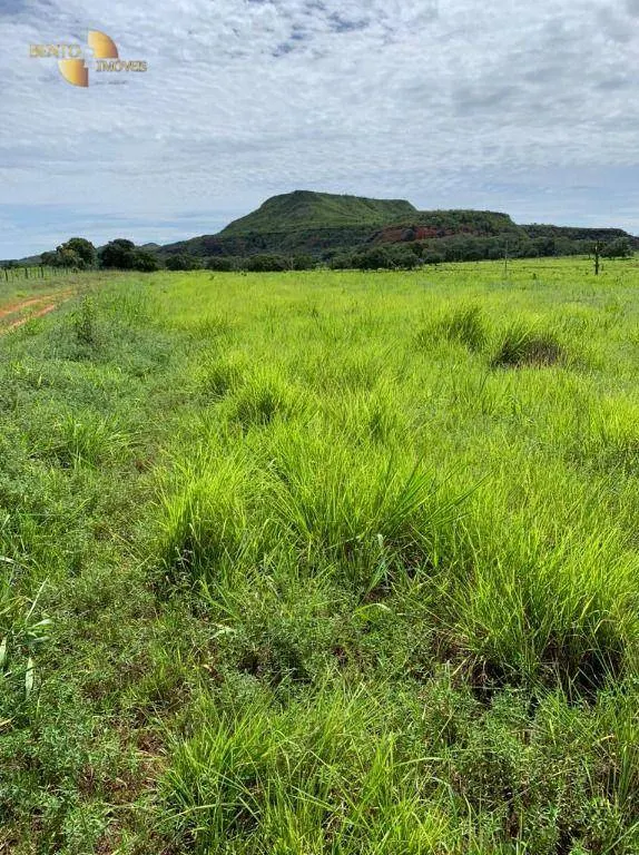 Fazenda à venda de 906 ha em Tesouro, MT, Brasil