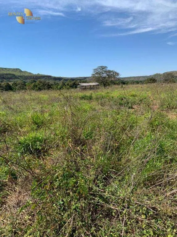 Fazenda à venda de 906 ha em Tesouro, MT, Brasil