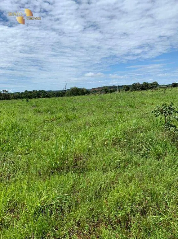 Fazenda à venda de 906 ha em Tesouro, MT, Brasil