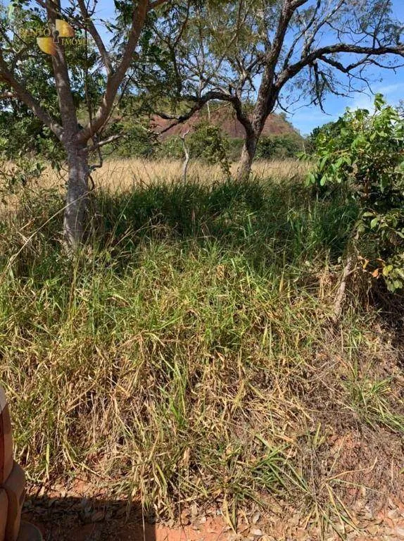 Fazenda à venda de 906 ha em Tesouro, MT, Brasil
