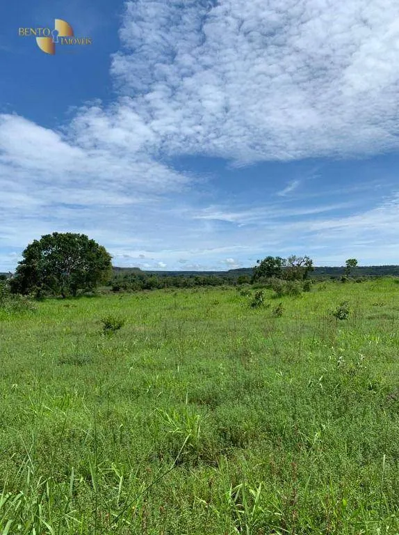 Fazenda à venda de 906 ha em Tesouro, MT, Brasil
