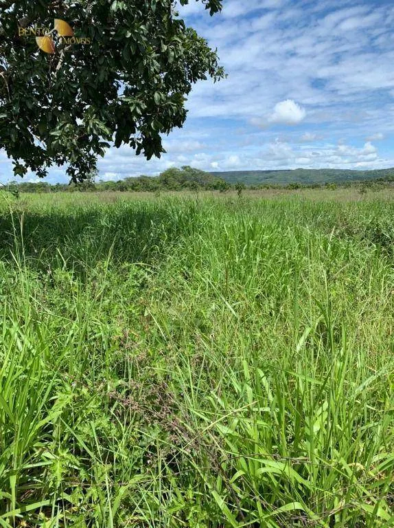 Fazenda à venda de 906 ha em Tesouro, MT, Brasil