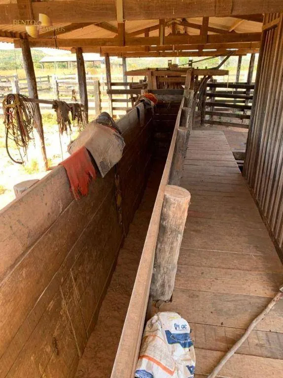 Fazenda à venda de 906 ha em Tesouro, MT, Brasil