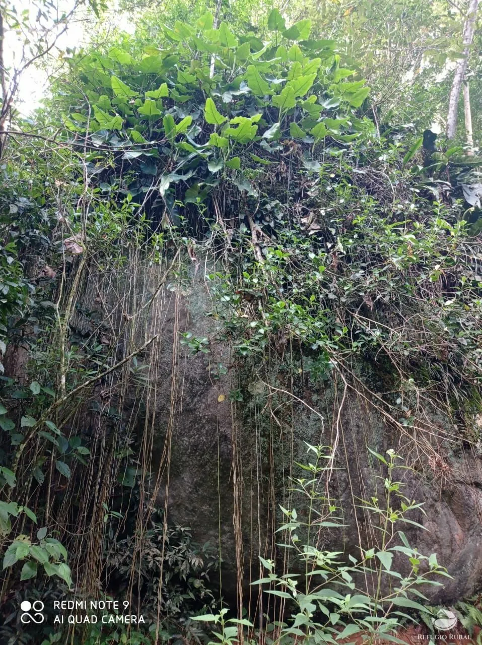 Terreno à venda de 2 ha em São José dos Campos, SP, Brasil