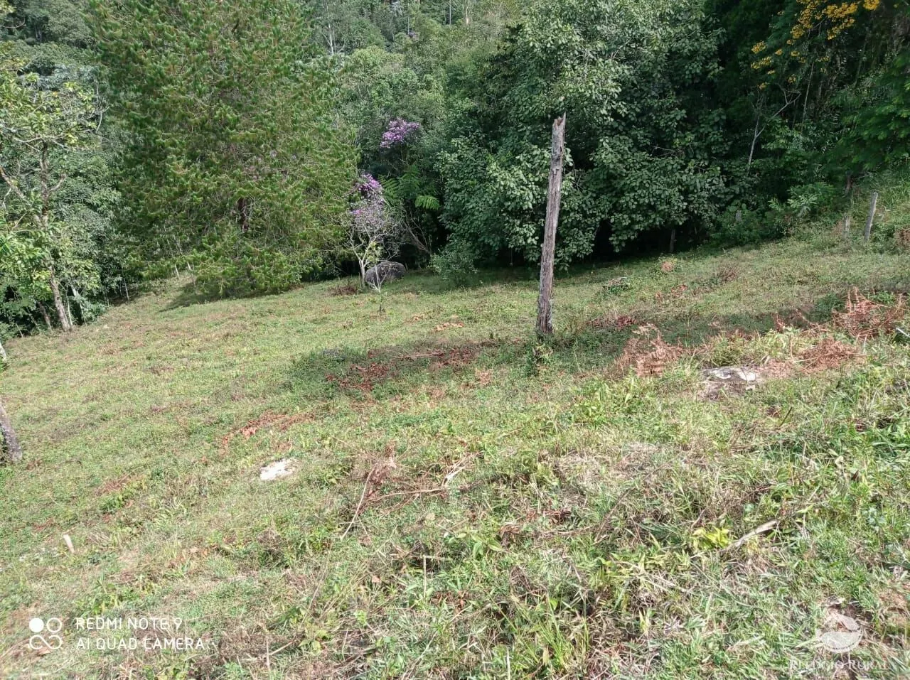 Terreno à venda de 2 ha em São José dos Campos, SP, Brasil