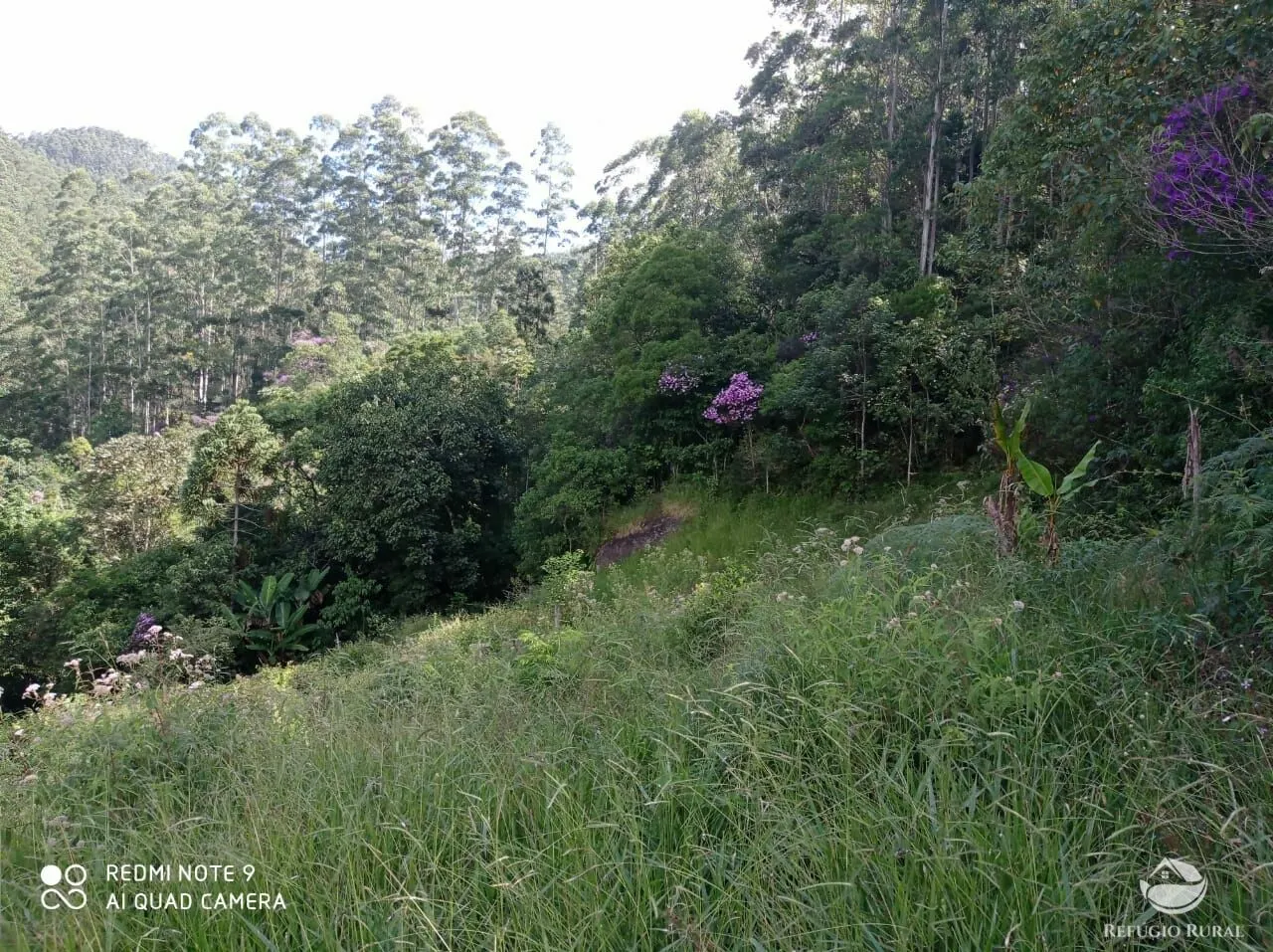 Terreno à venda de 2 ha em São José dos Campos, SP, Brasil