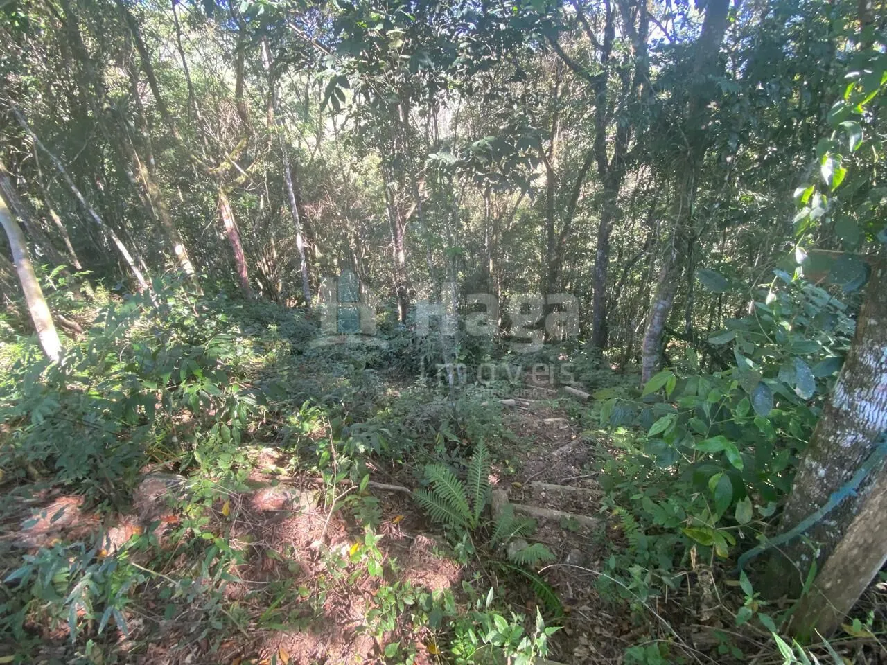 Fazenda à venda de 1 ha em Canelinha, SC, Brasil