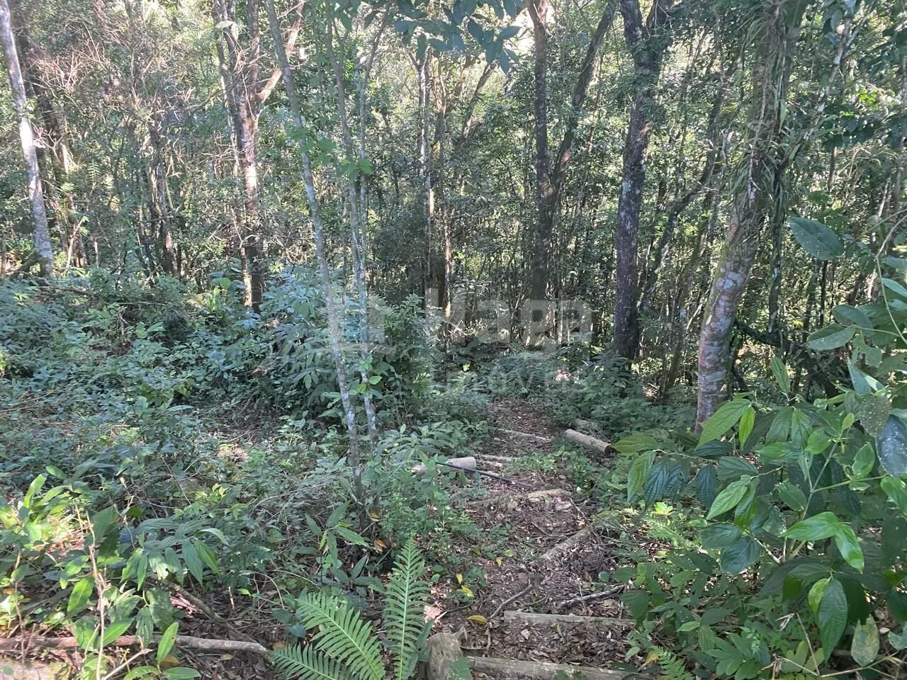 Fazenda à venda de 1 ha em Canelinha, SC, Brasil