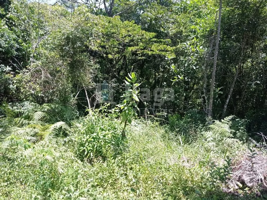 Fazenda à venda de 1 ha em Canelinha, SC, Brasil