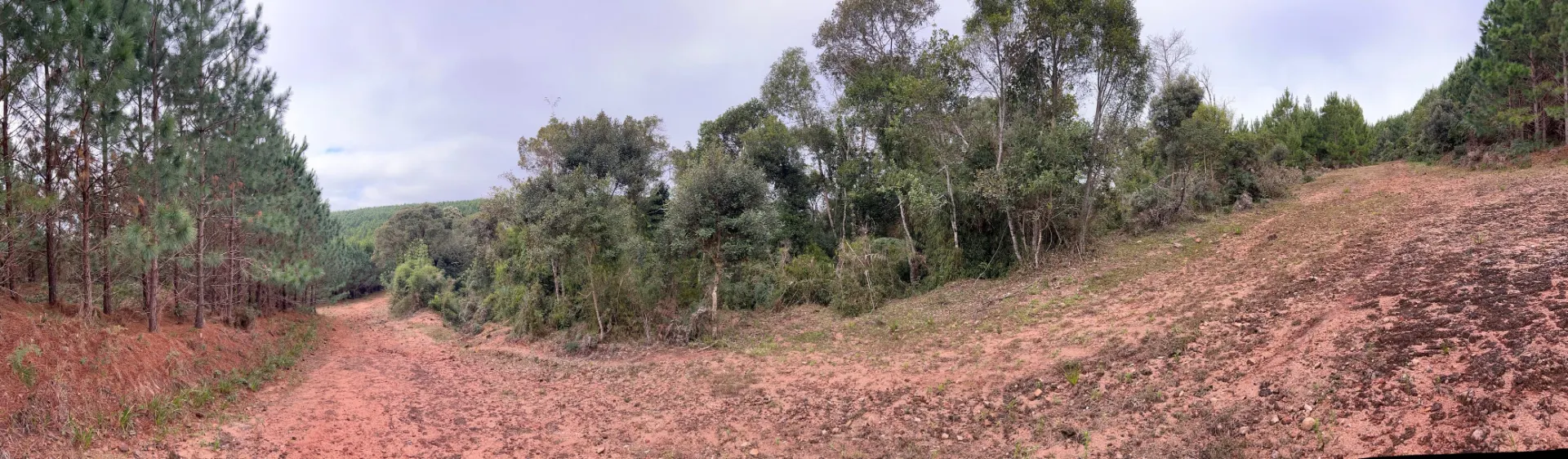 Fazenda à venda de 536 ha em Jaguariaíva, PR, Brasil