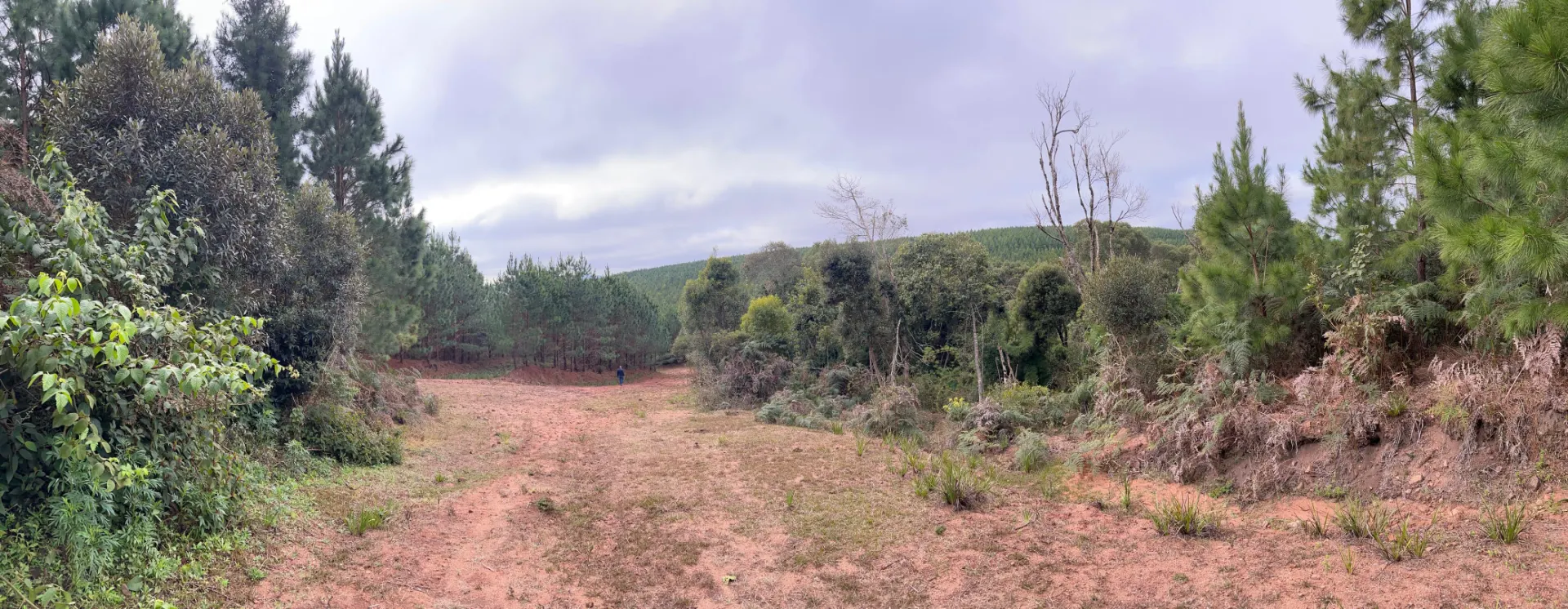Fazenda à venda de 536 ha em Jaguariaíva, PR, Brasil
