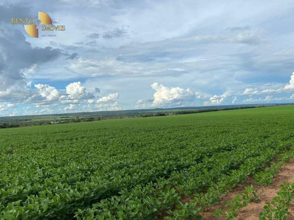 Farm for sale of 1,606 acres in Nobres, MT, Brazil