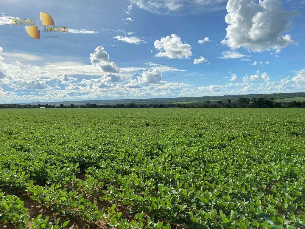 Farm for sale of 1,606 acres in Nobres, MT, Brazil