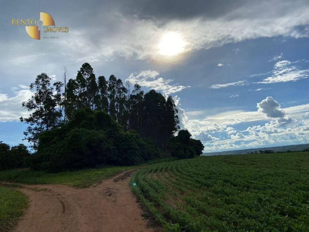 Farm for sale of 1,606 acres in Nobres, MT, Brazil